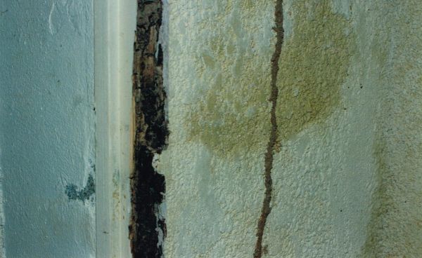 Cordonnet de termites et salpêtre à Blaye 33 Gironde