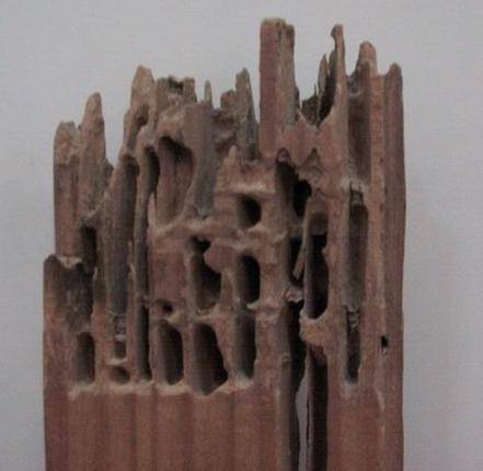 Traitement des termites à la Teste de Buch en Gironde