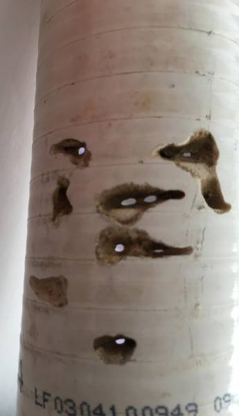 Tuyau  alimentation piscine percé par les  termites à Andernos en Gironde