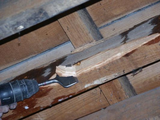 Traitement des bois à Talence 33