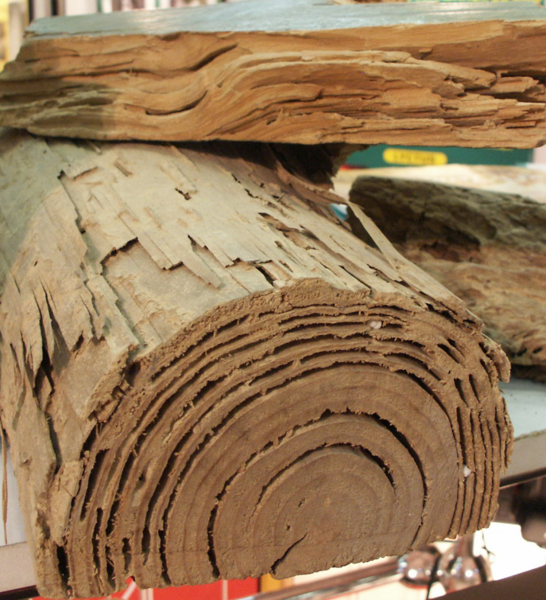 Obtenir un devis pour installer une barrière chimique anti termites efficace afin de protéger durablement votre maison située au Bassin d'Arcachon.